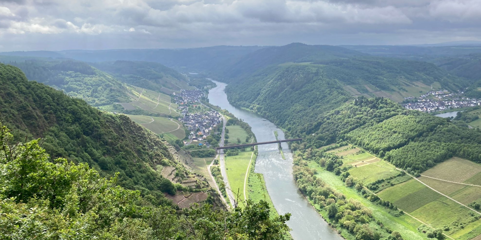 Herren-Jedermann unterwegs auf dem Moselsteig
